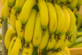 Фрукты Крита: критские бананы