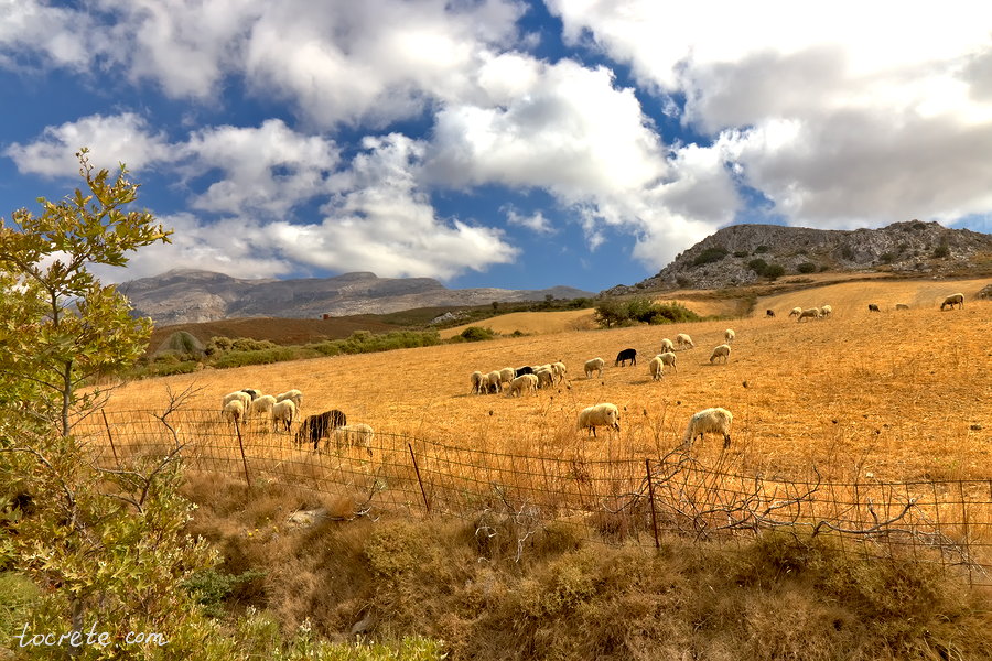 Долина Амари. Остров Крит в августе