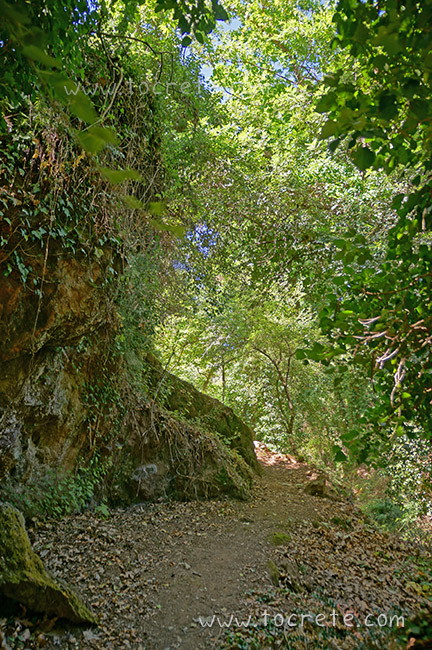 Ущелье Борьяна (Boriana Gorge)