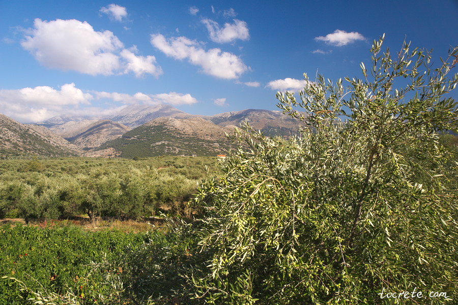 Виды на горы из деревни Мохос