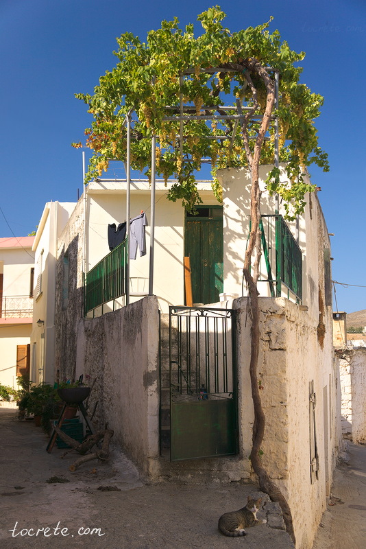 Деревня Мохос. Греция, остров Крит