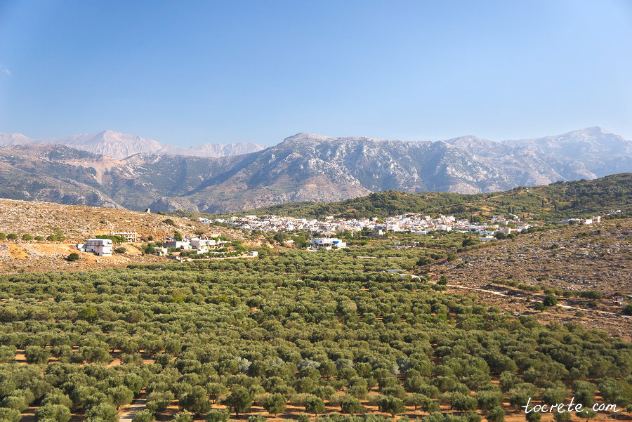 Панорама деревни Мохос на фоне критских гор