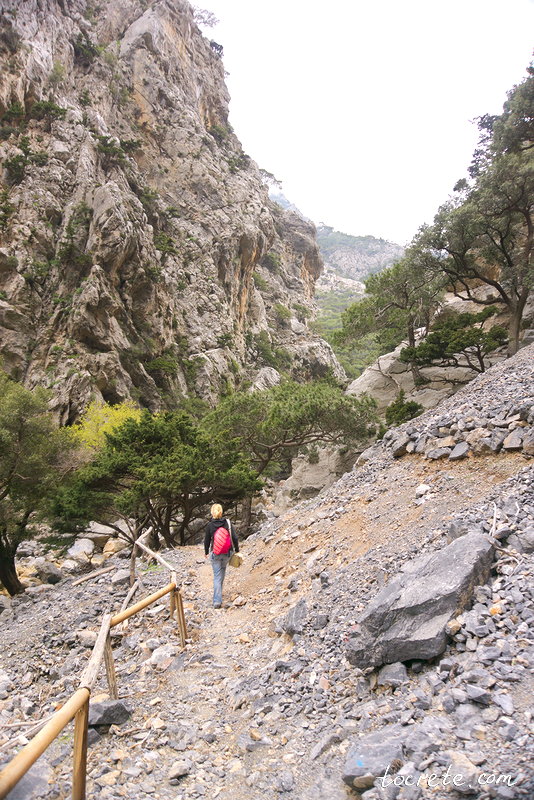 Ущелье Святого Николая (Рувас). Греция, остров Крит