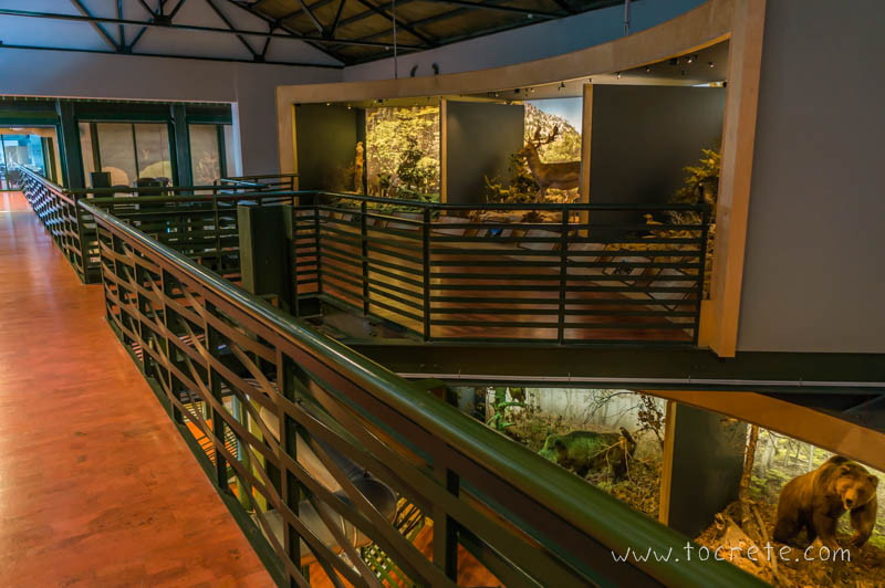 Музей естественной истории Крита в Ираклионе