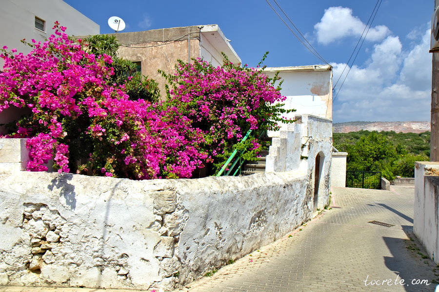 Деревня Принос на острове Крит