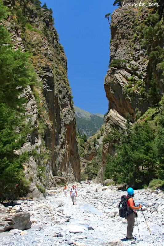 Экскурсии в Самарийское ущелье (Западный Крит)