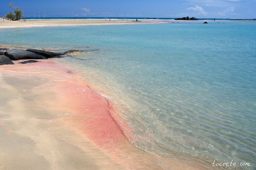 Откуда на пляже Элафониси розовый песок
