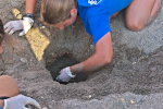 Раскопки гнёзд черепах Каретта-Каретта продолжаются