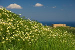 На Крит пришла весна