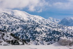 Зимний Крит: фото заснеженной деревни Калликратис (Сфакья)