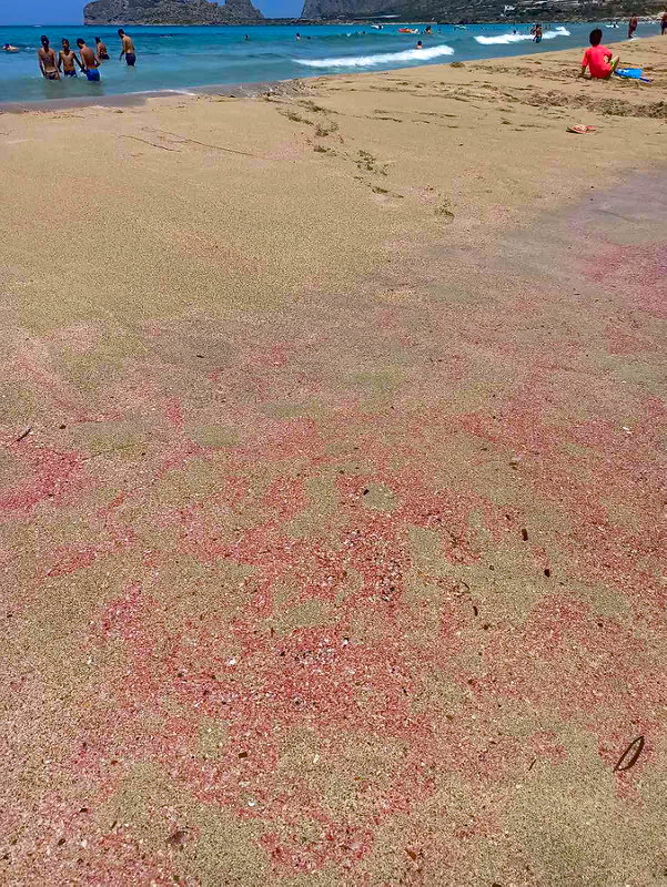 Розовый песок и лазурь пляжа Фаласарна. 5 июля 2020