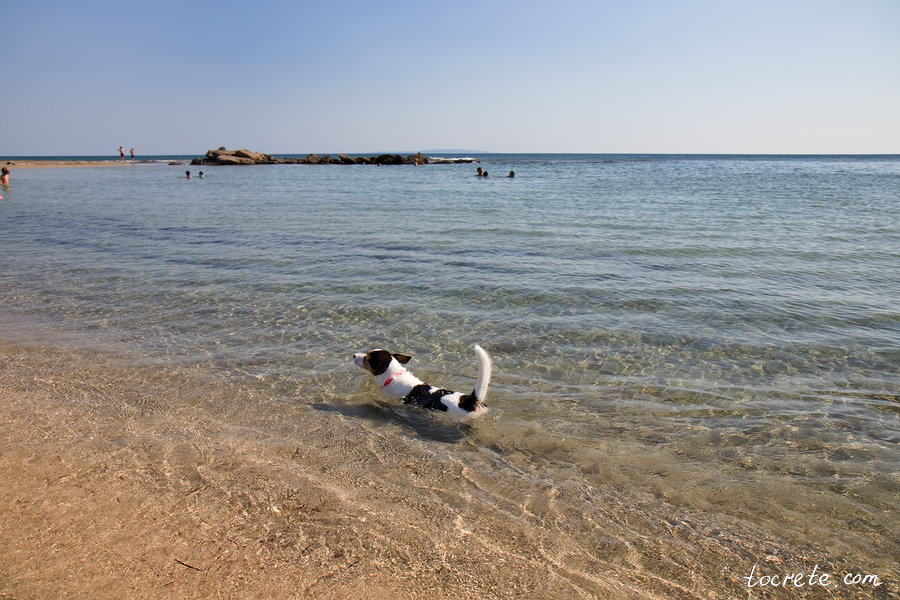 Пляж Франгокастелло. Южный Крит. 10 августа 2021