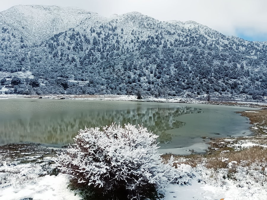 Снег на Крите. Плато Омалос. 19 января 2021