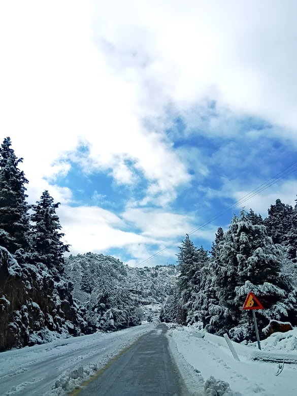 Снег на Крите. Дорога на плато Омалос. Крит зимой: 19 января 2021