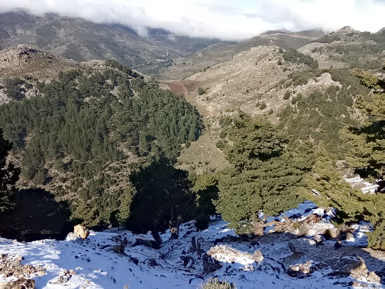 Лефка Ори (Белые горы). Крит зимой: 19 января 2021