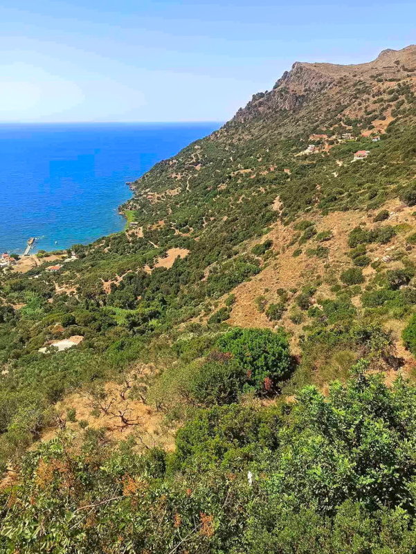 Западный Крит летом. 19 июля 2020