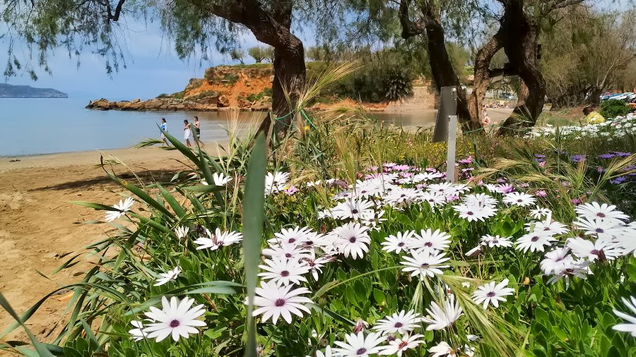 Весенний критский пляж. Апрель 2019