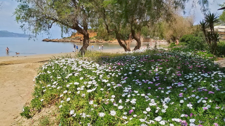 Весенний пляж в Агии Апостоли. Крит, 20 апреля 2019