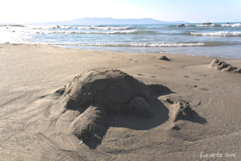 Черепаха из песка на пляже Агия Марина. 21 августа 2018