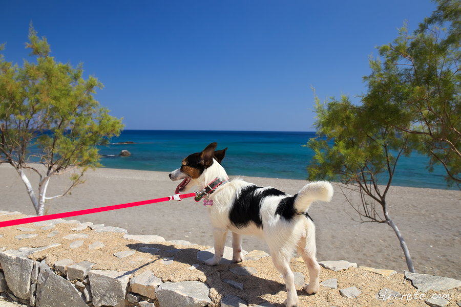 Крит сегодня, 25 июня 2019. Пляж Коракас (южное побережье Крита)