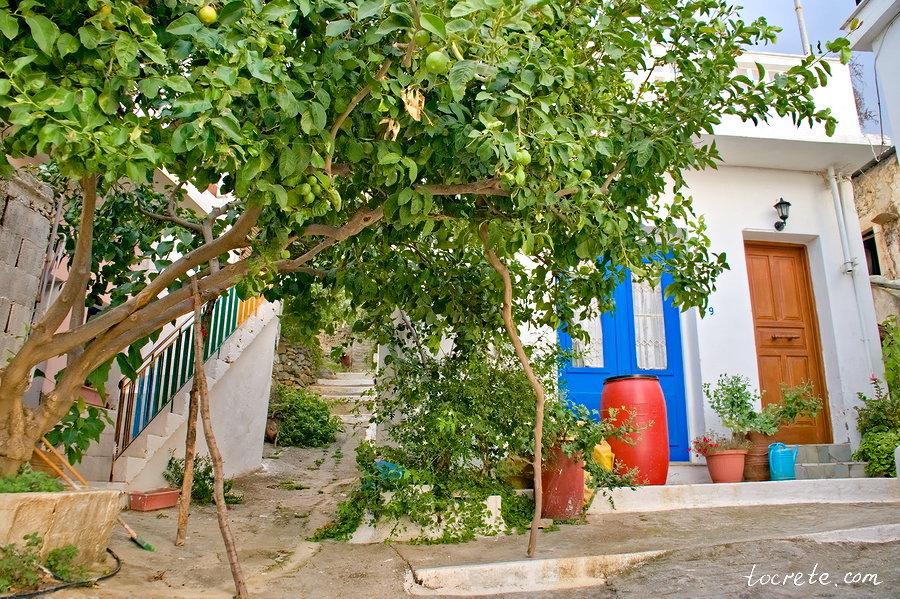 Мирсини (Mirsini). Восточный Крит. Октябрь 2014
