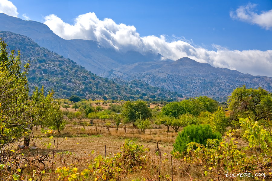 Плато Катаро (Katharo plateau). Восточный Крит осенью