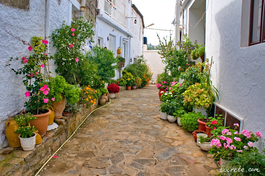 Цветы на улочках осеннего Крита