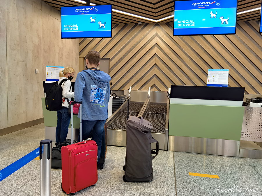 Терминал С аэропорта Шереметьево. Отдельная стойка для вылетающих с животными