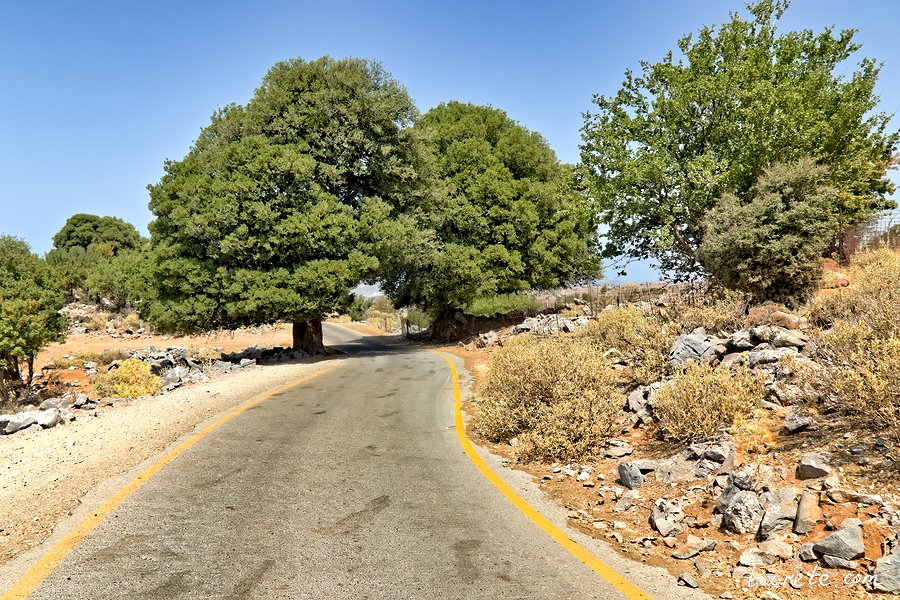 Дорога на горном массиве Псилорит. Крит в августе
