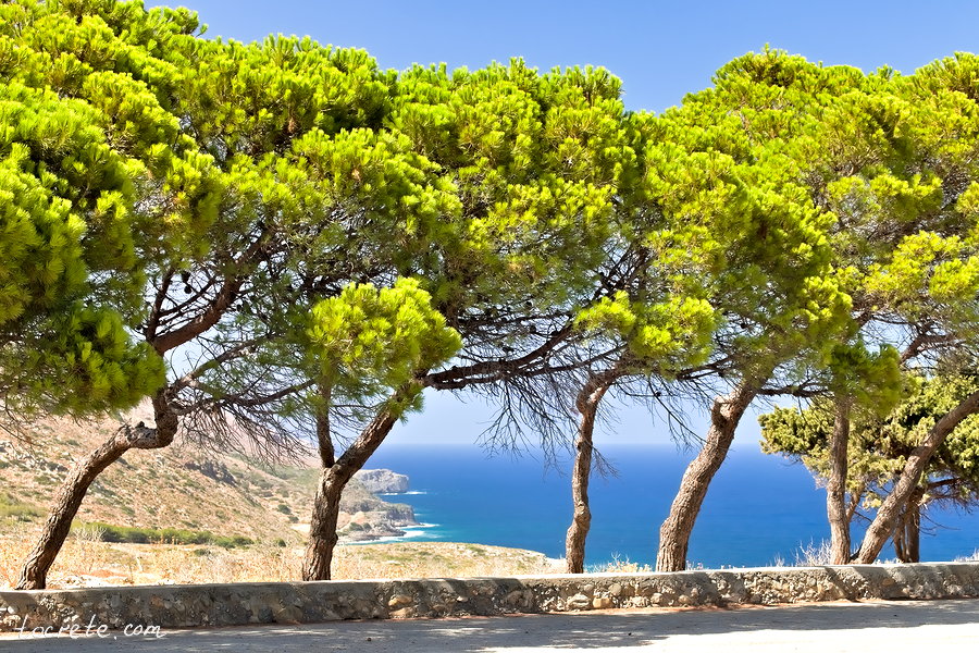 Полуостров Родопос, западный Крит