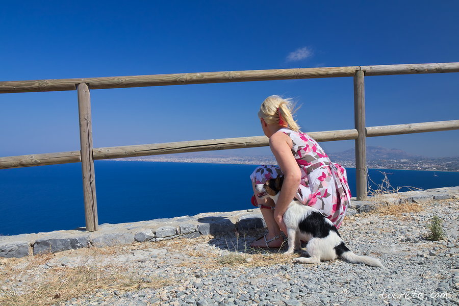 На Крит с собакой - полёт нормальный. Июнь 2019