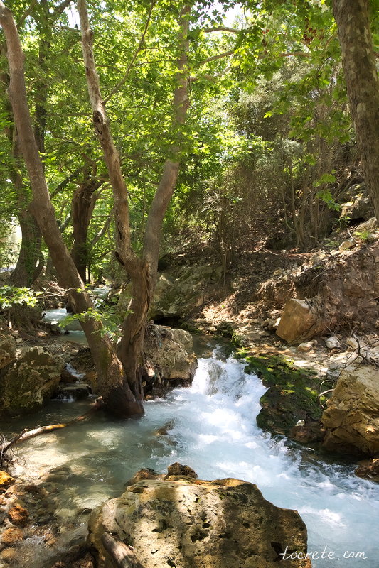 Ущелье Терисо. Крит, Июнь 2019
