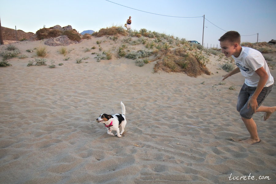 На Крит с собакой. Пляж Фалассарна. Июнь 2019