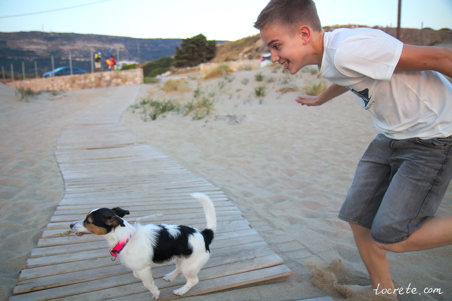 На Крит с собакой. Пляж Фалассарна. Июнь 2019