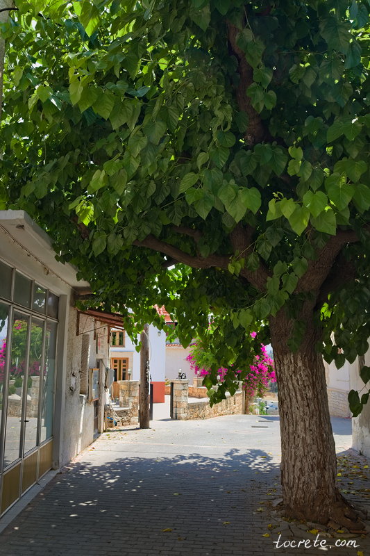 Деревня Принос. Греция, Крит. Июнь 2019