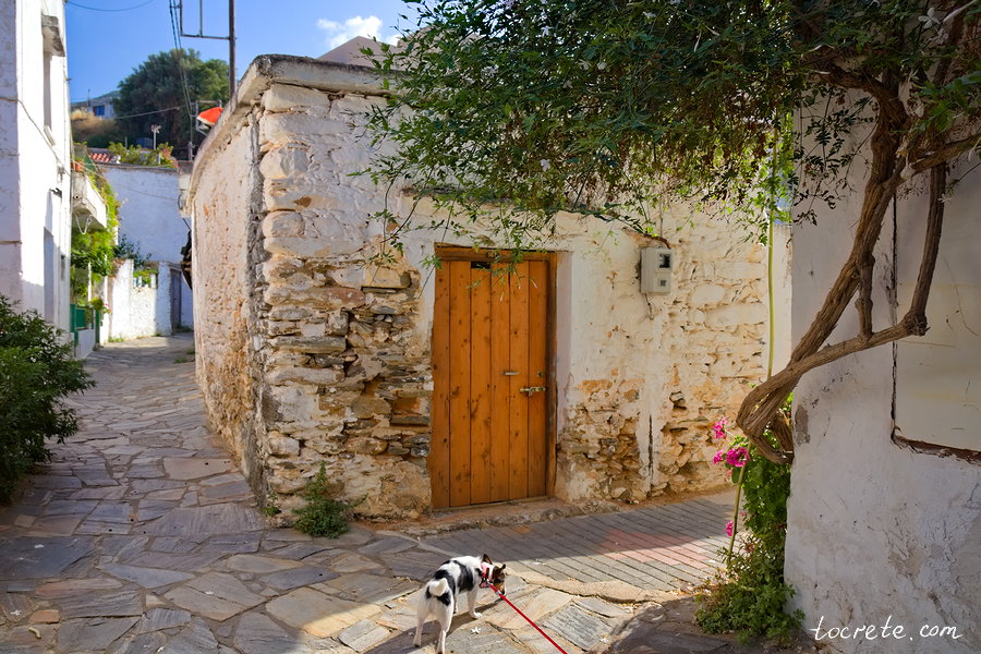 Деревня Фоделе. На Крит с собакой. Июнь 2019