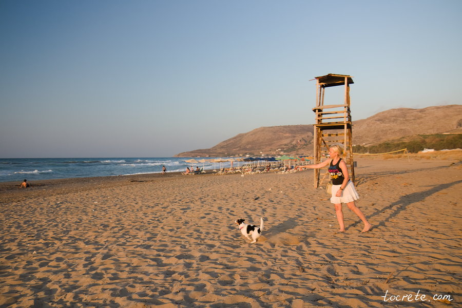 На Крит с собакой. Июнь 2019