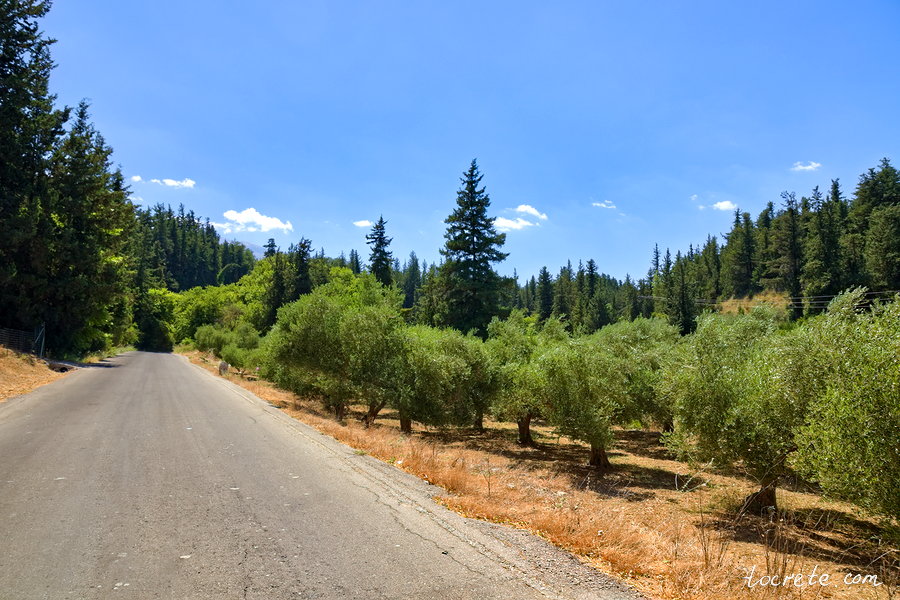 Зелёный летний Крит. Июнь 2019