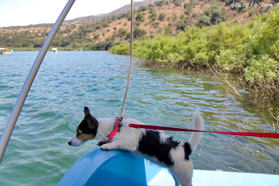 Озеро Курнас. Остров Крит, Греция - Путешествие с собакой