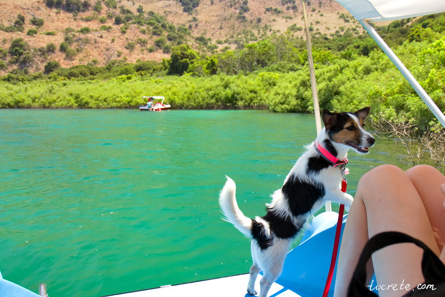 Озеро Курнас. Остров Крит, Греция - Путешествие с собакой