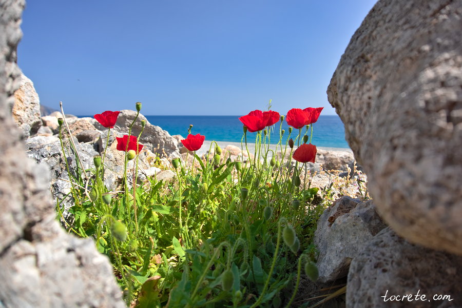 Почему стоит ехать на Крит весной