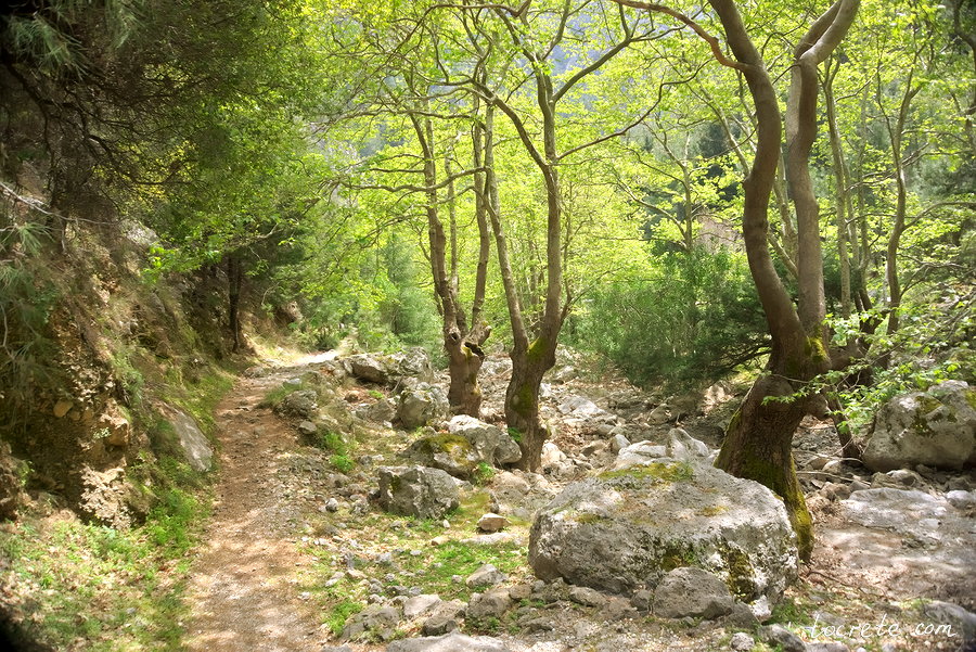 Ущелье Святой Ирины (Агия Ирини). Остров Крит
