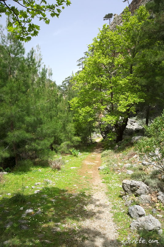 Ущелье Агия Ирини на западе острова Крит