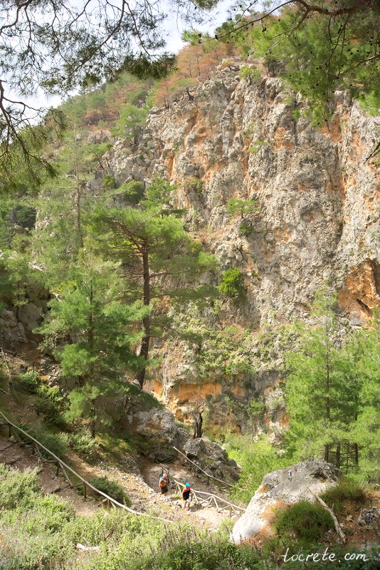 Спуск (лестница) в ущелье Агия Ирини