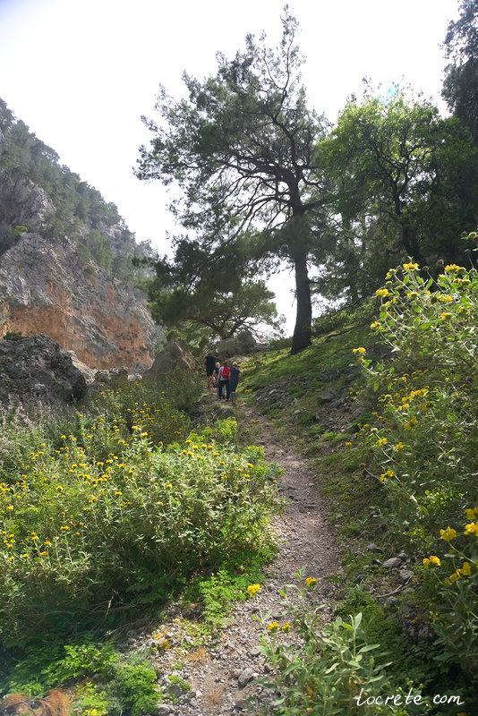 Ущелье Агия Ирини весной. Остров Крит
