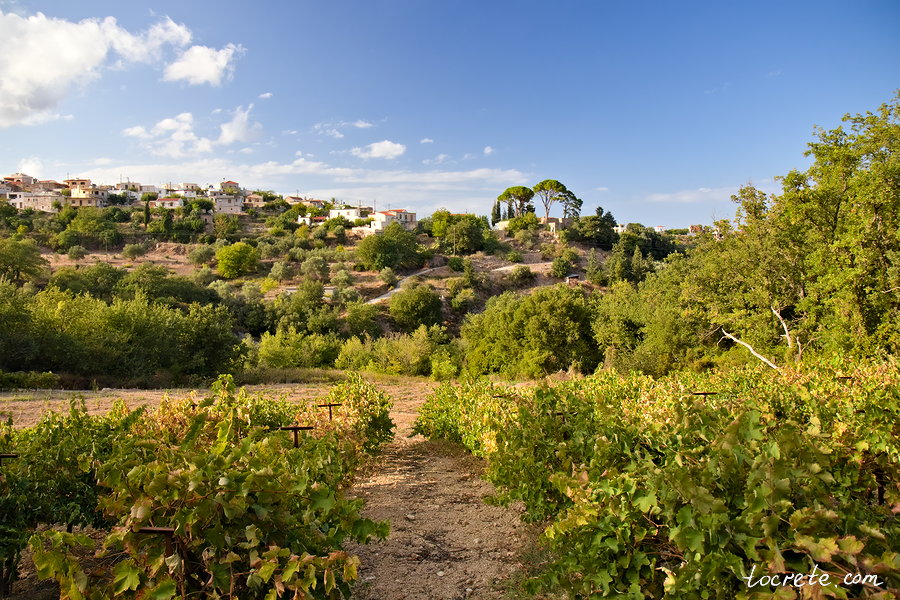 Вид на деревню Курнас. Западный Крит
