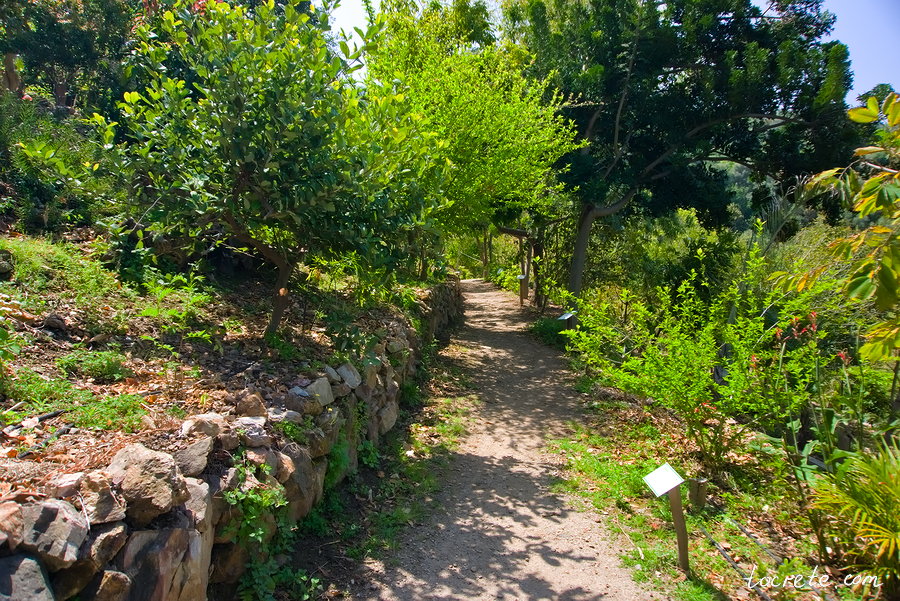 Ботанический сад на Крите