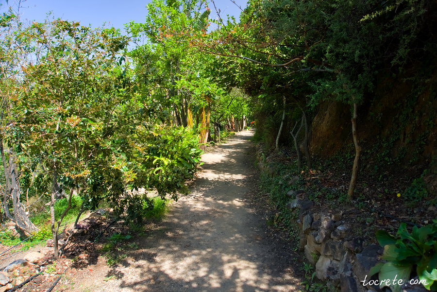 Ботанический сад на Крите