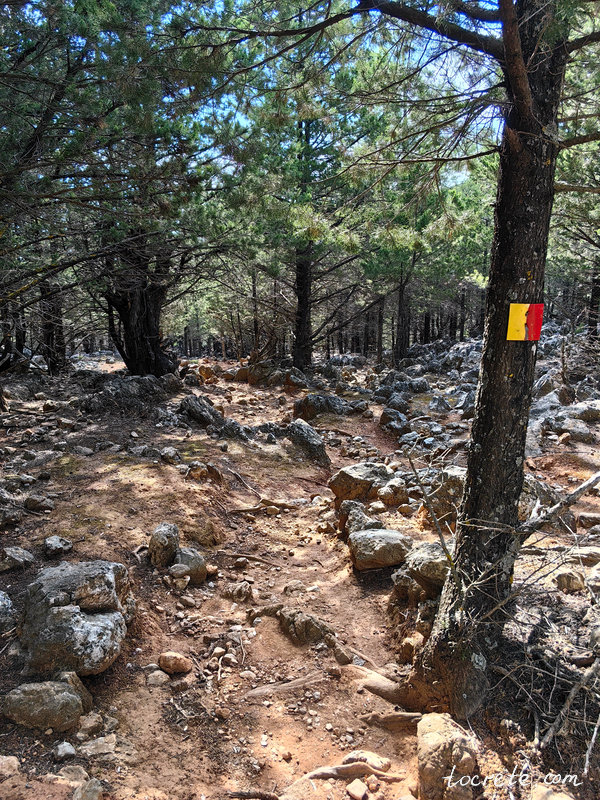 Тропа в лесу Какос Порос хорошо просматривается и промаркирована красно-жёлтыми метками Тропа в лесу Какос Порос хорошо просматривается и промаркирована красно-жёлтыми метками
