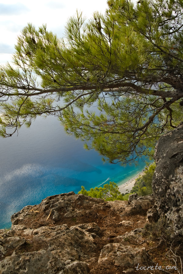 Балкон Айос Яннис: крутой обрыв, вековые сосны, виды на лазурное море и побережье южного Крита Балкон Айос Яннис: крутой обрыв, вековые сосны, виды на лазурное море и побережье южного Крита